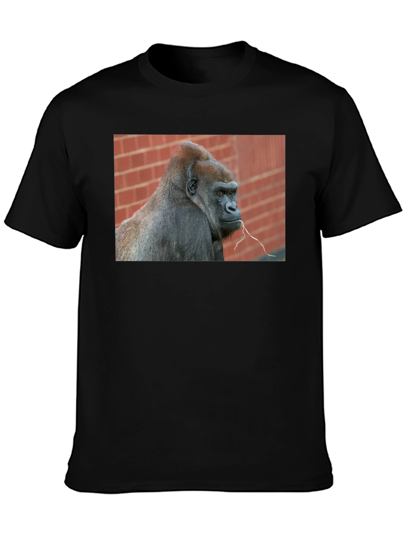 Gorilla Graphic T-Shirt - Premium Unisex Tee