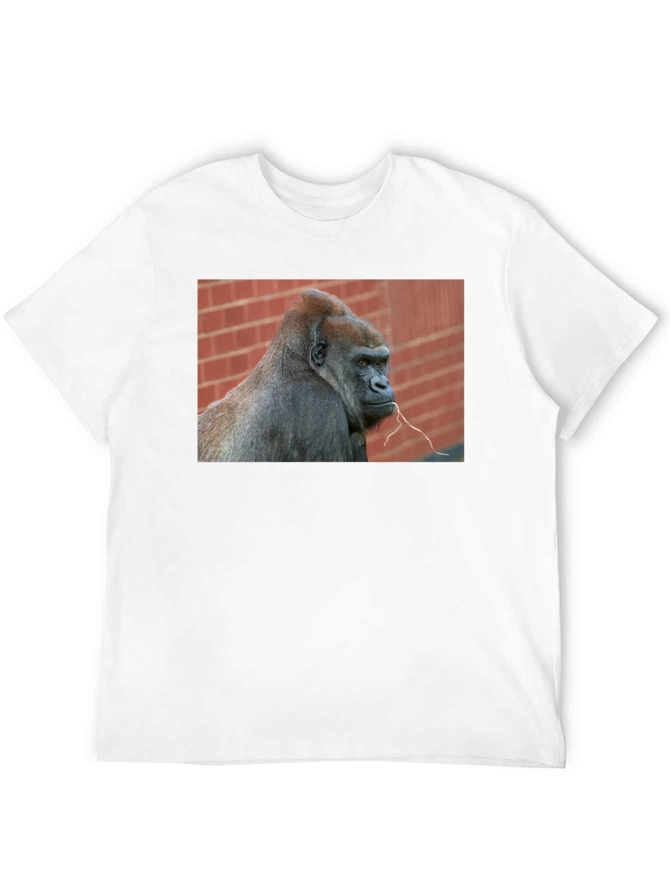 Gorilla Graphic T-Shirt - Premium Unisex Tee