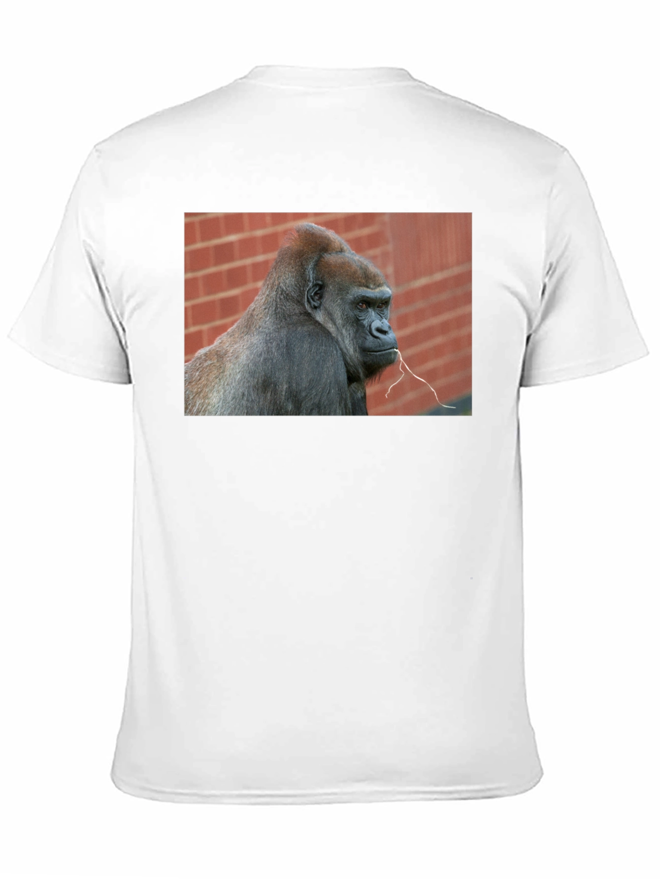 Gorilla Graphic T-Shirt - Premium Unisex Tee