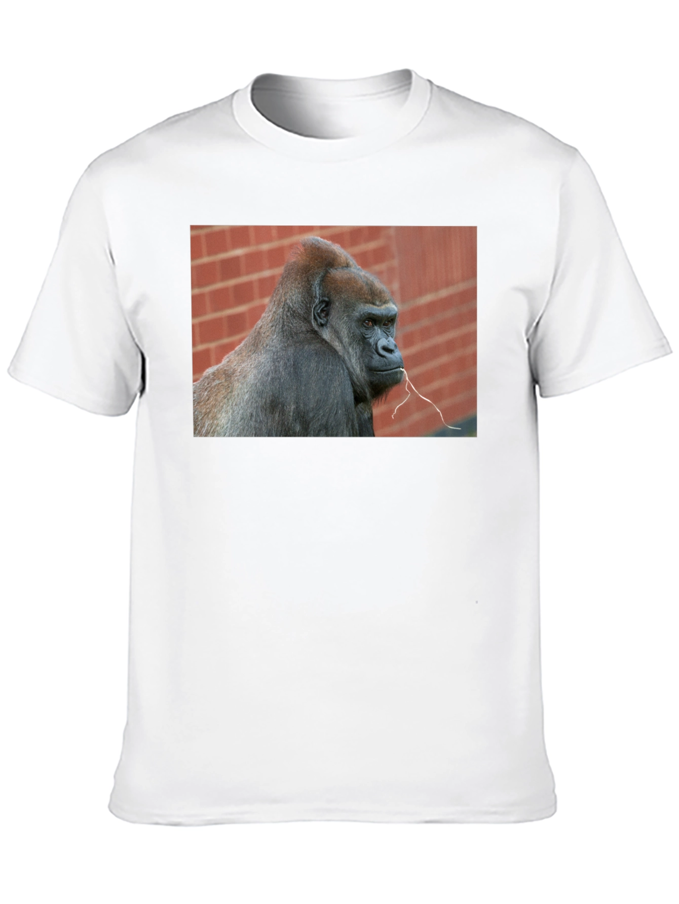 Gorilla Graphic T-Shirt - Premium Unisex Tee