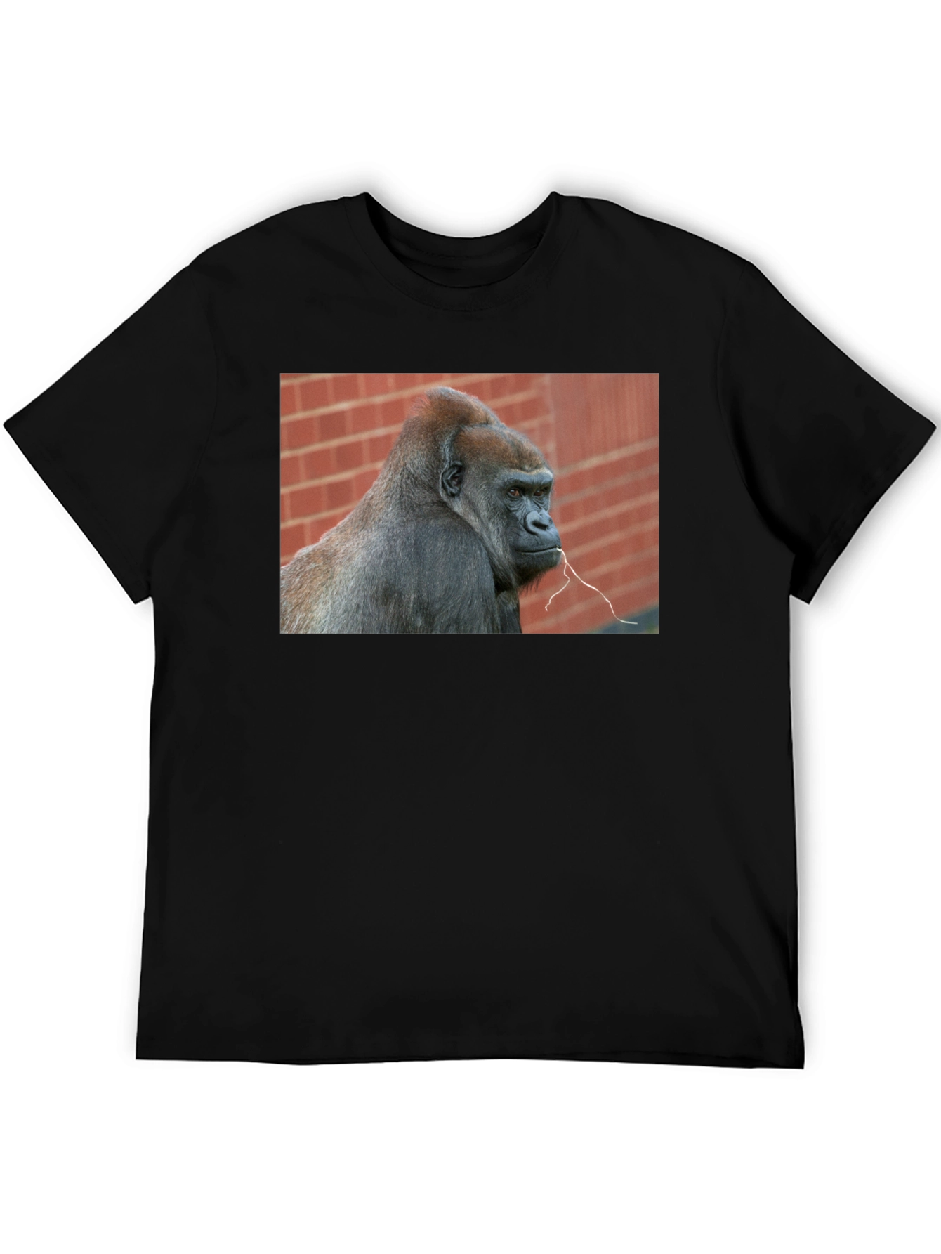 Gorilla Graphic T-Shirt - Premium Unisex Tee