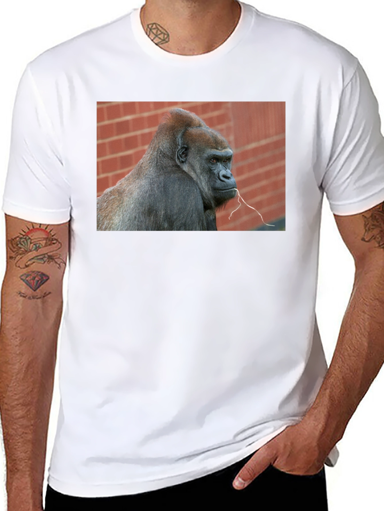 Gorilla Graphic T-Shirt - Premium Unisex Tee
