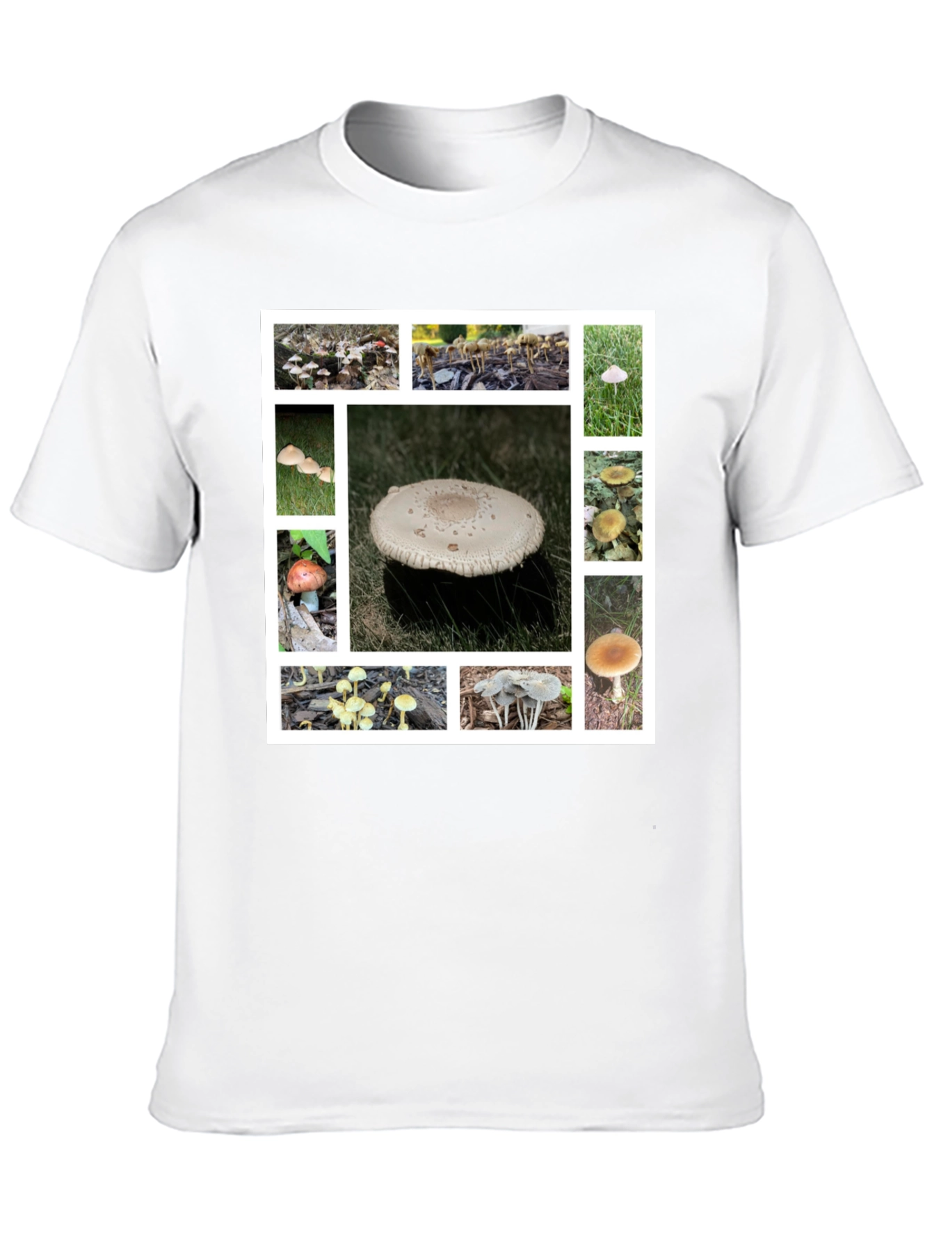 Mushroom Collage Graphic Tee