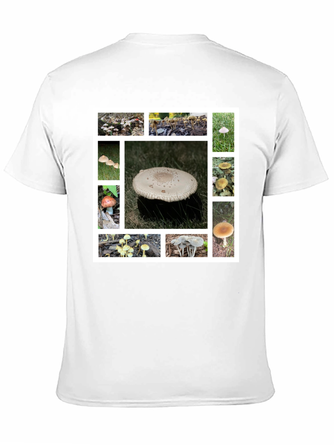 Mushroom Collage Graphic Tee