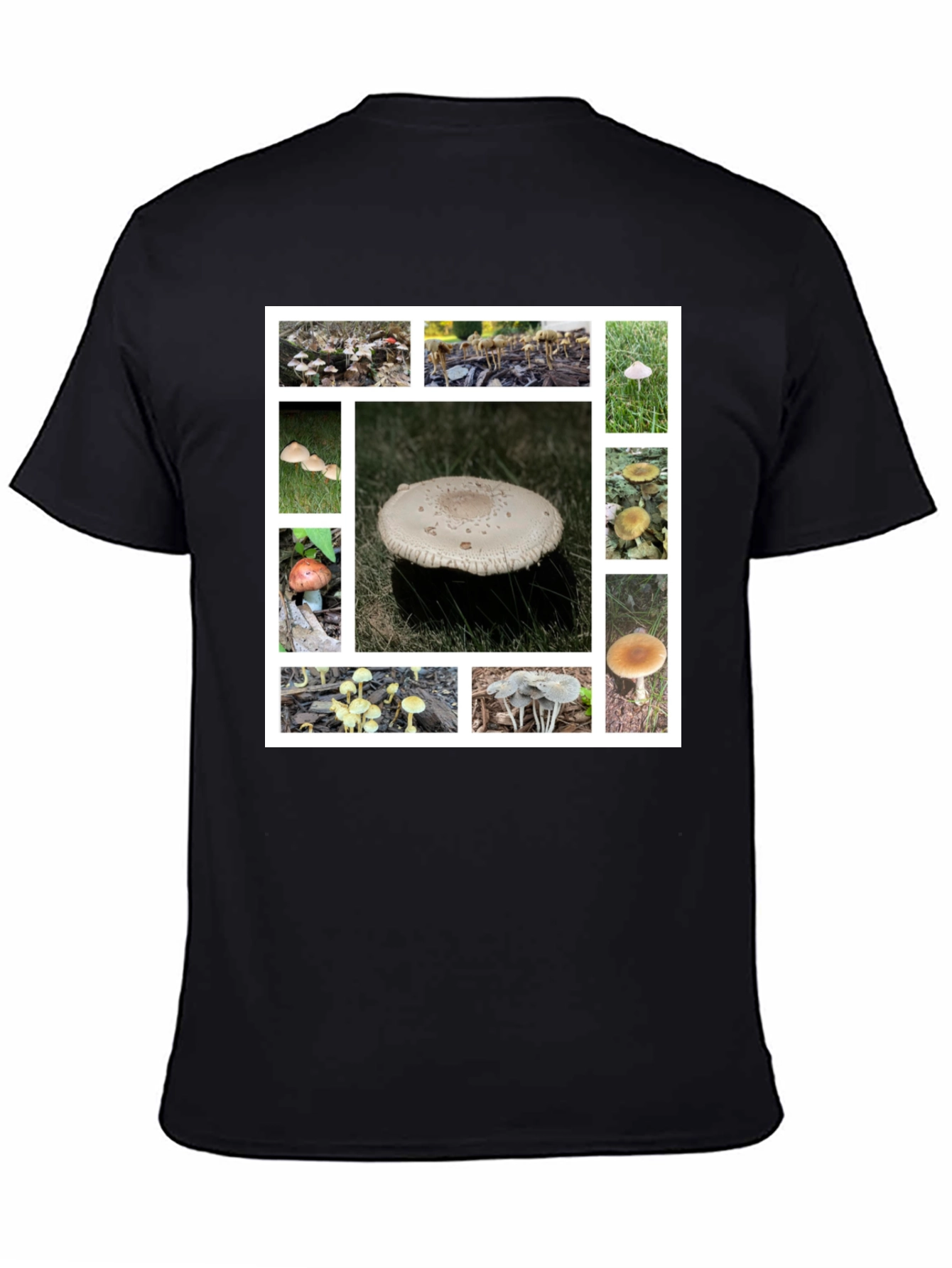 Mushroom Collage Graphic Tee