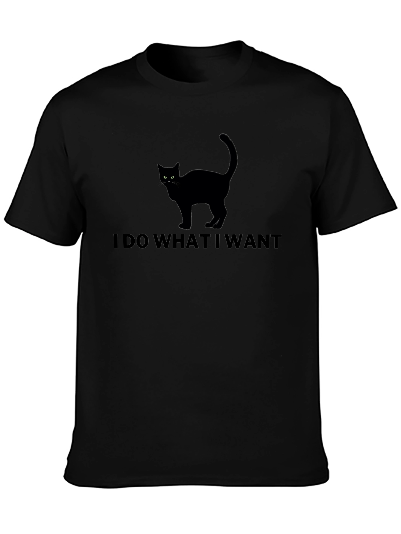 I Do What I Want Cat T-Shirt - Black