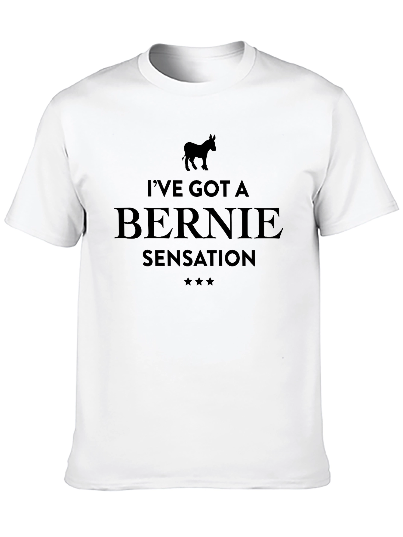 Bernie Sensation Graphic T-Shirt