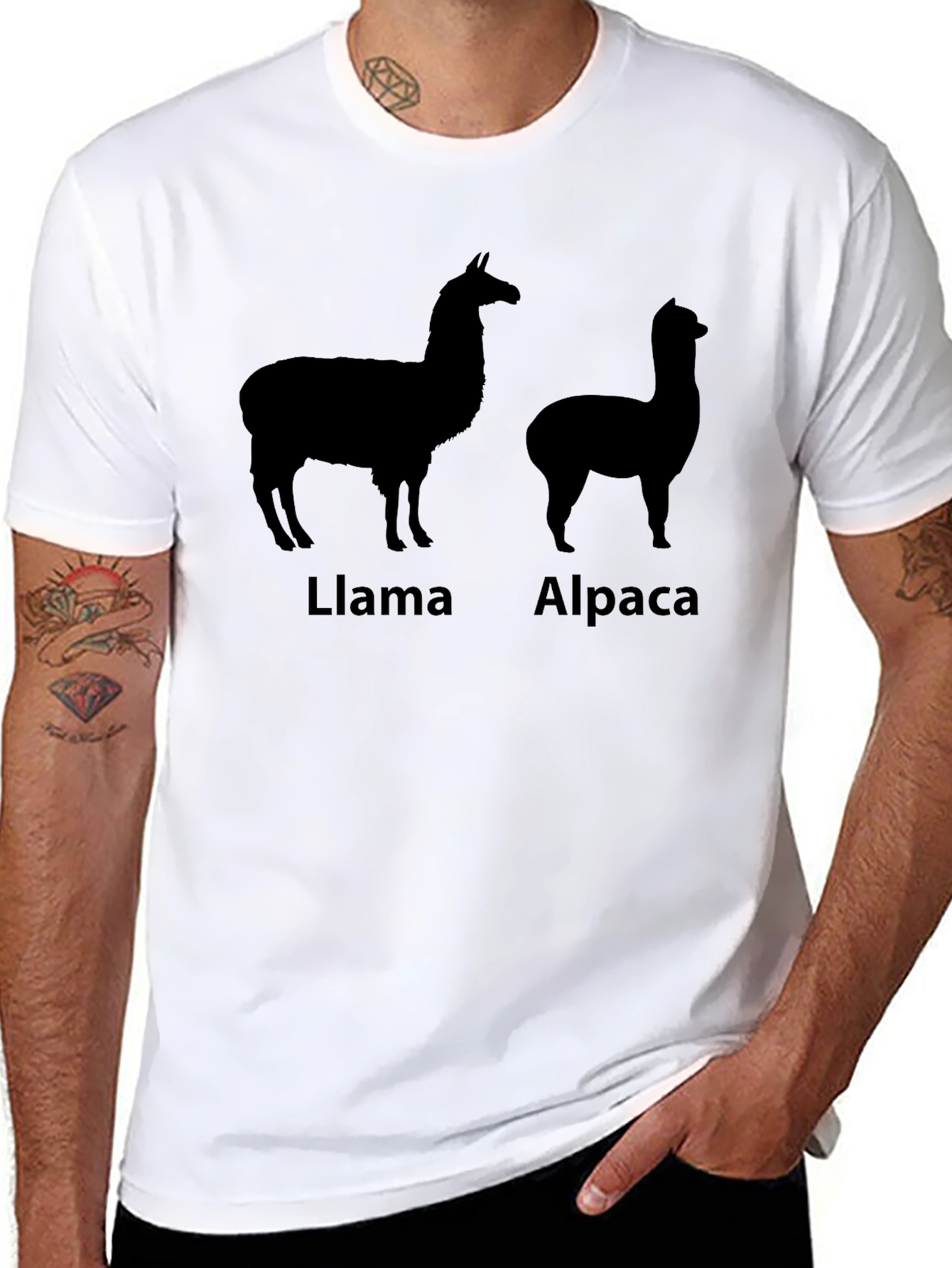 Llama Alpaca T-Shirt