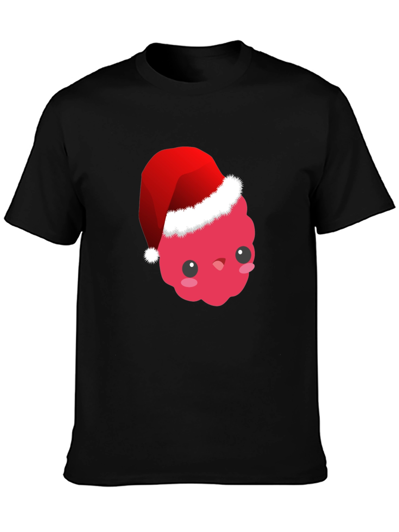 Cute Raspberry Santa Hat T-Shirt