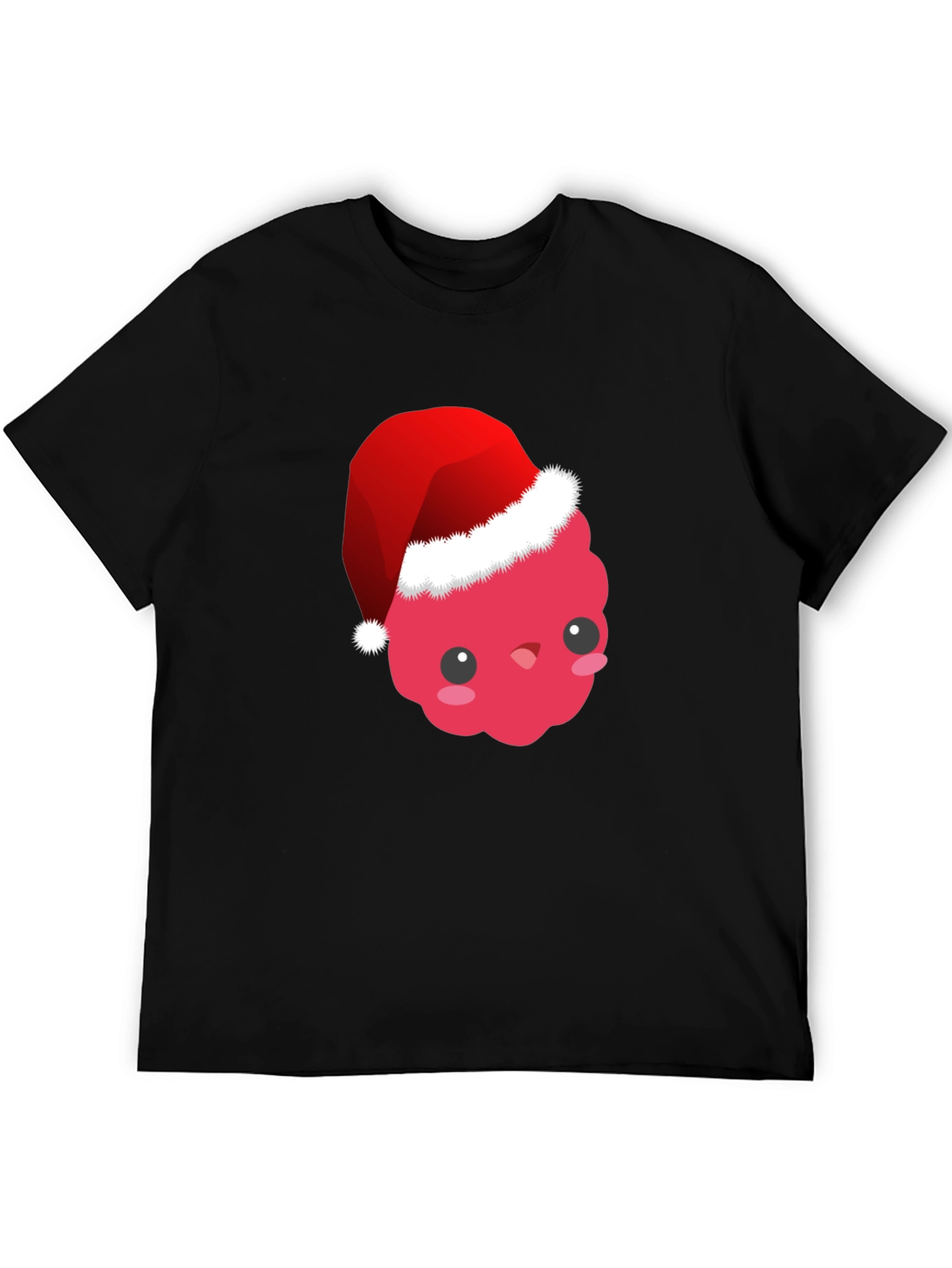Cute Raspberry Santa Hat T-Shirt