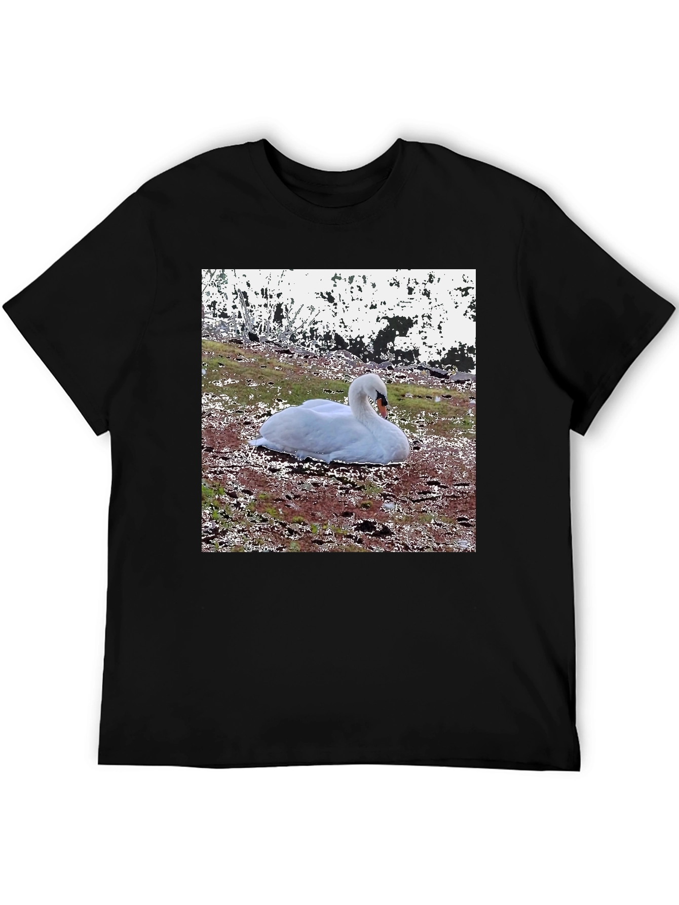 Swan Graphic Black T-Shirt