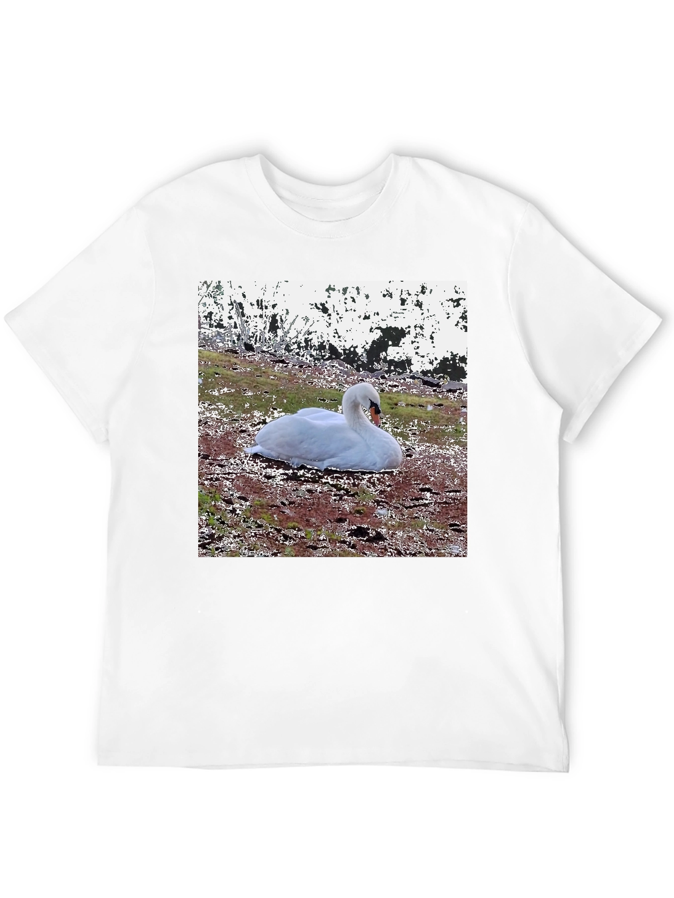 Swan Graphic Black T-Shirt