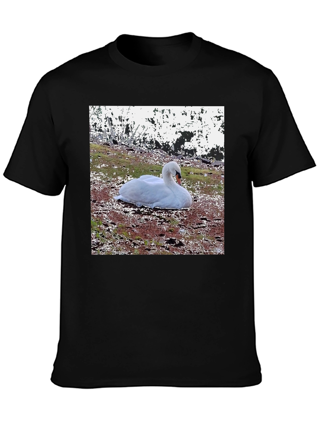 Swan Graphic Black T-Shirt