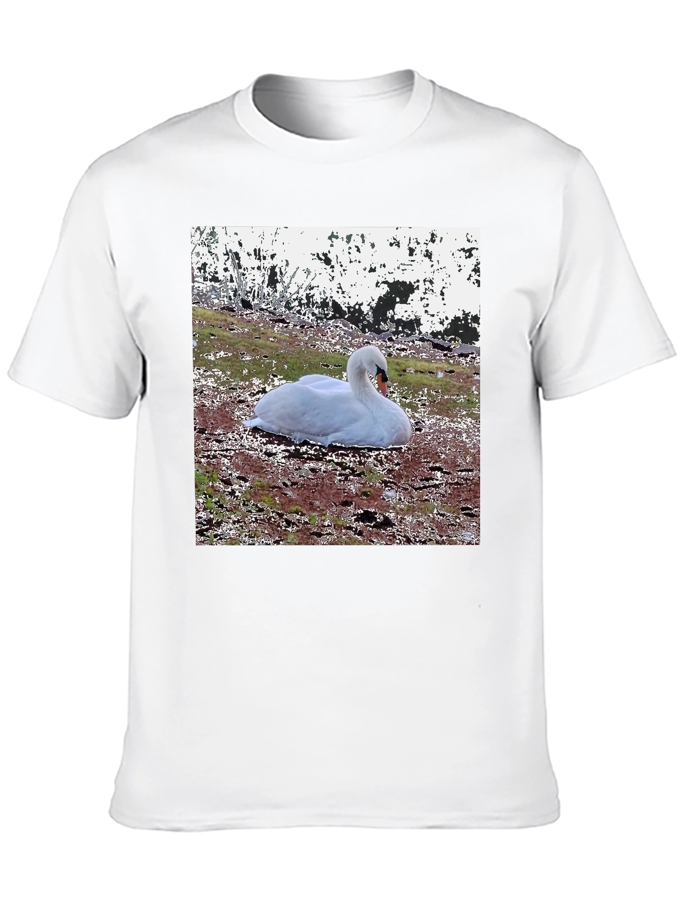 Swan Graphic Black T-Shirt