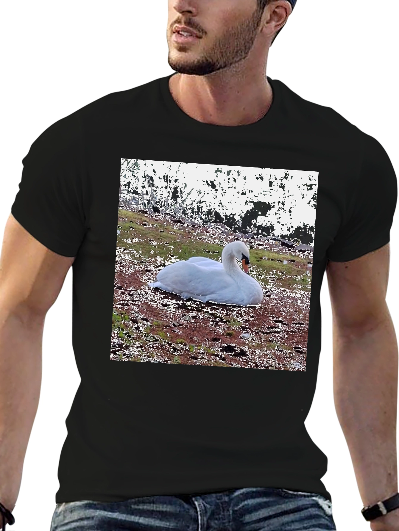 Swan Graphic Black T-Shirt
