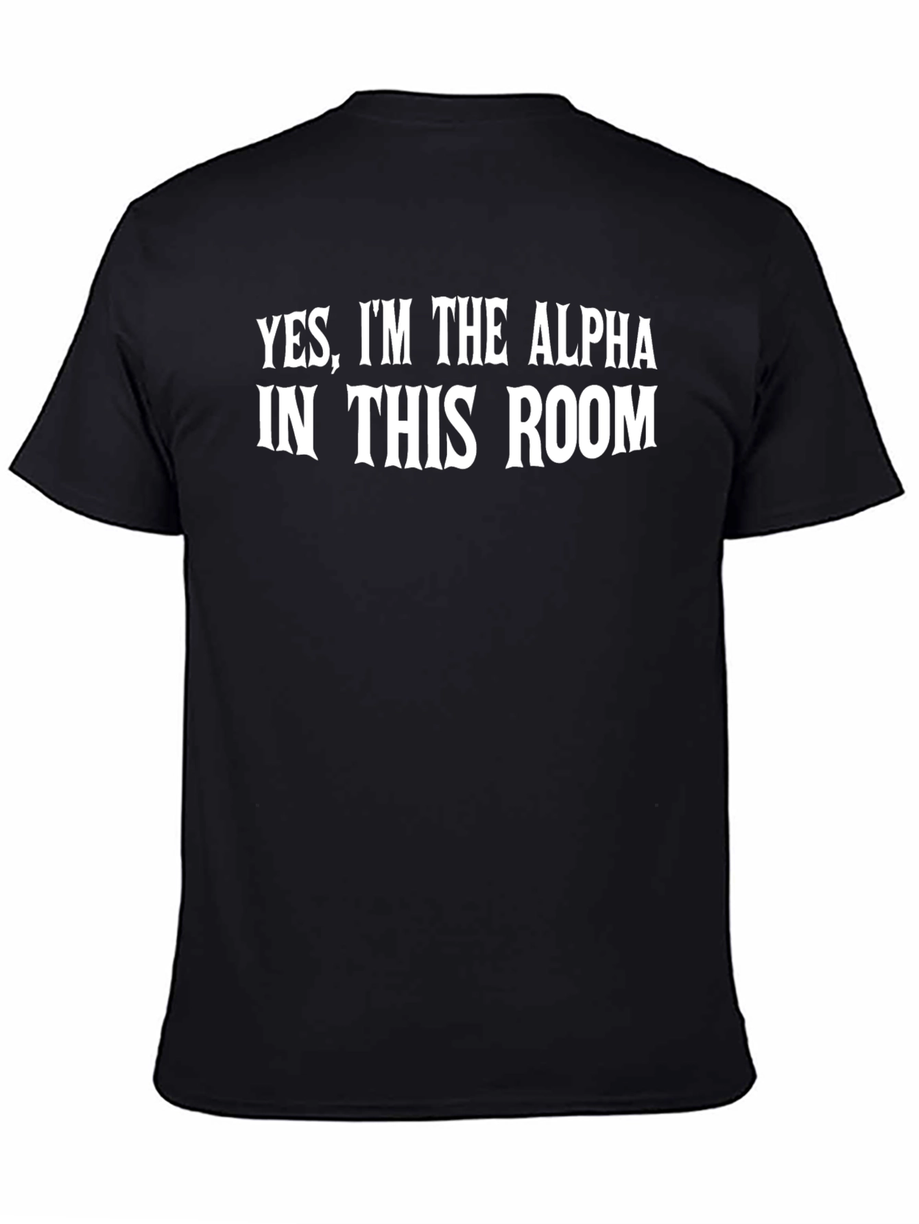 Alpha In This Room Novelty Graphic T-Shirt
