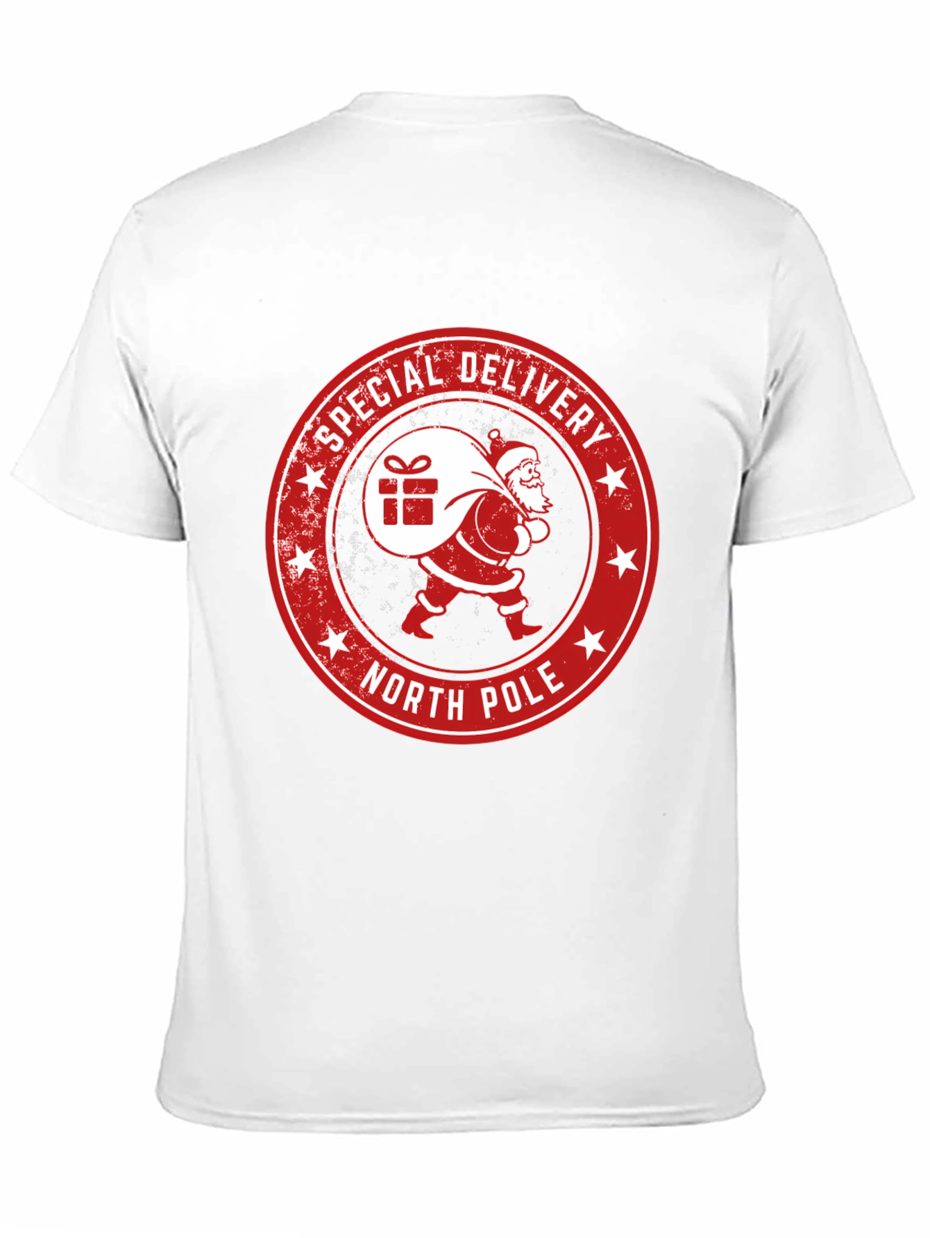 North Pole Special Delivery Santa Graphic Tee