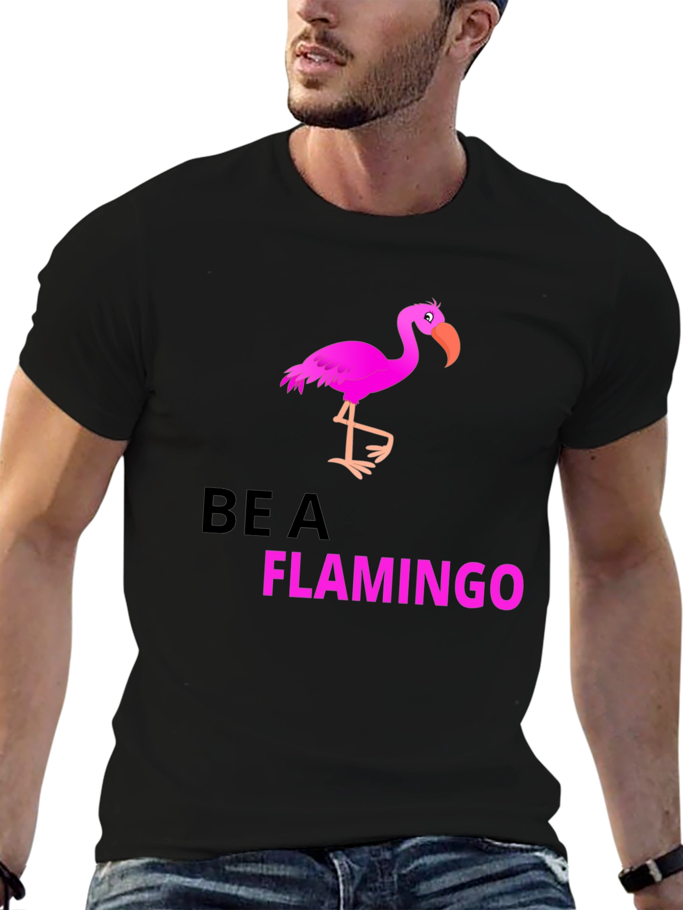 Be a Flamingo Black Graphic T-Shirt