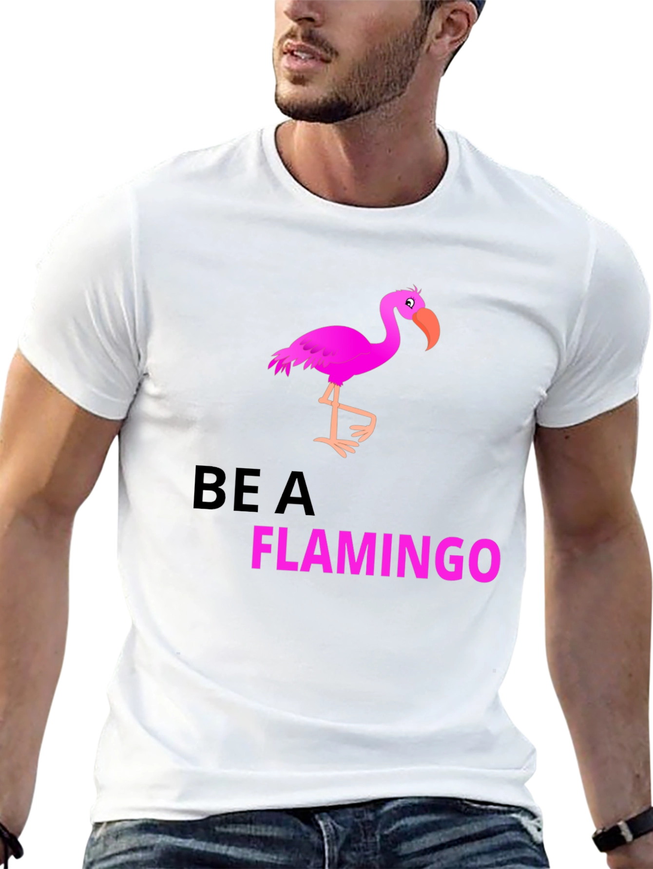 Be a Flamingo Black Graphic T-Shirt