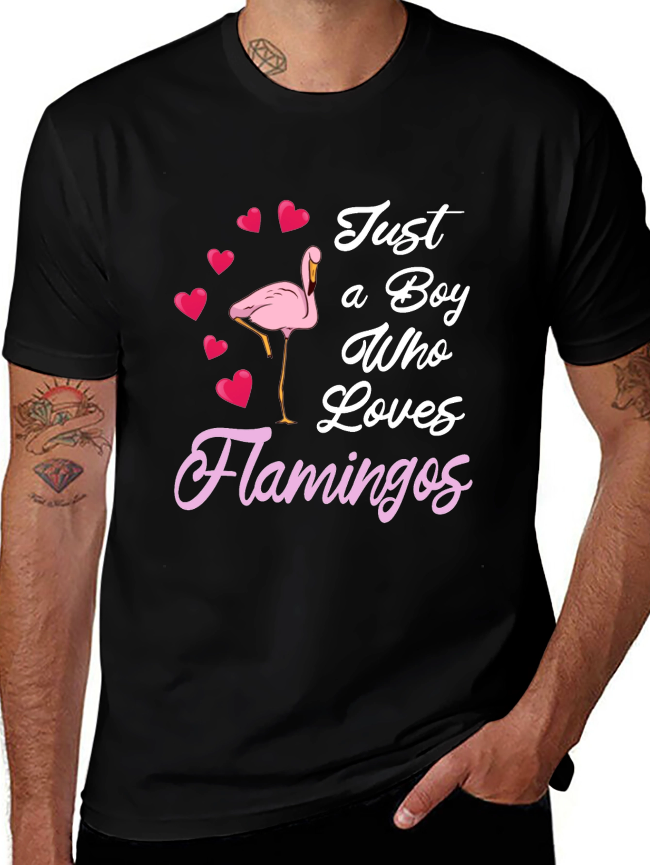 Boy Who Loves Flamingos T-Shirt
