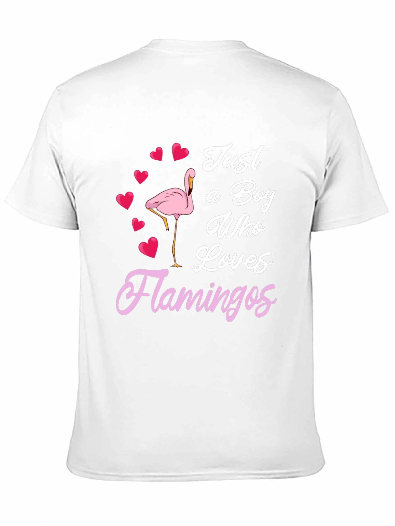 Boy Who Loves Flamingos T-Shirt