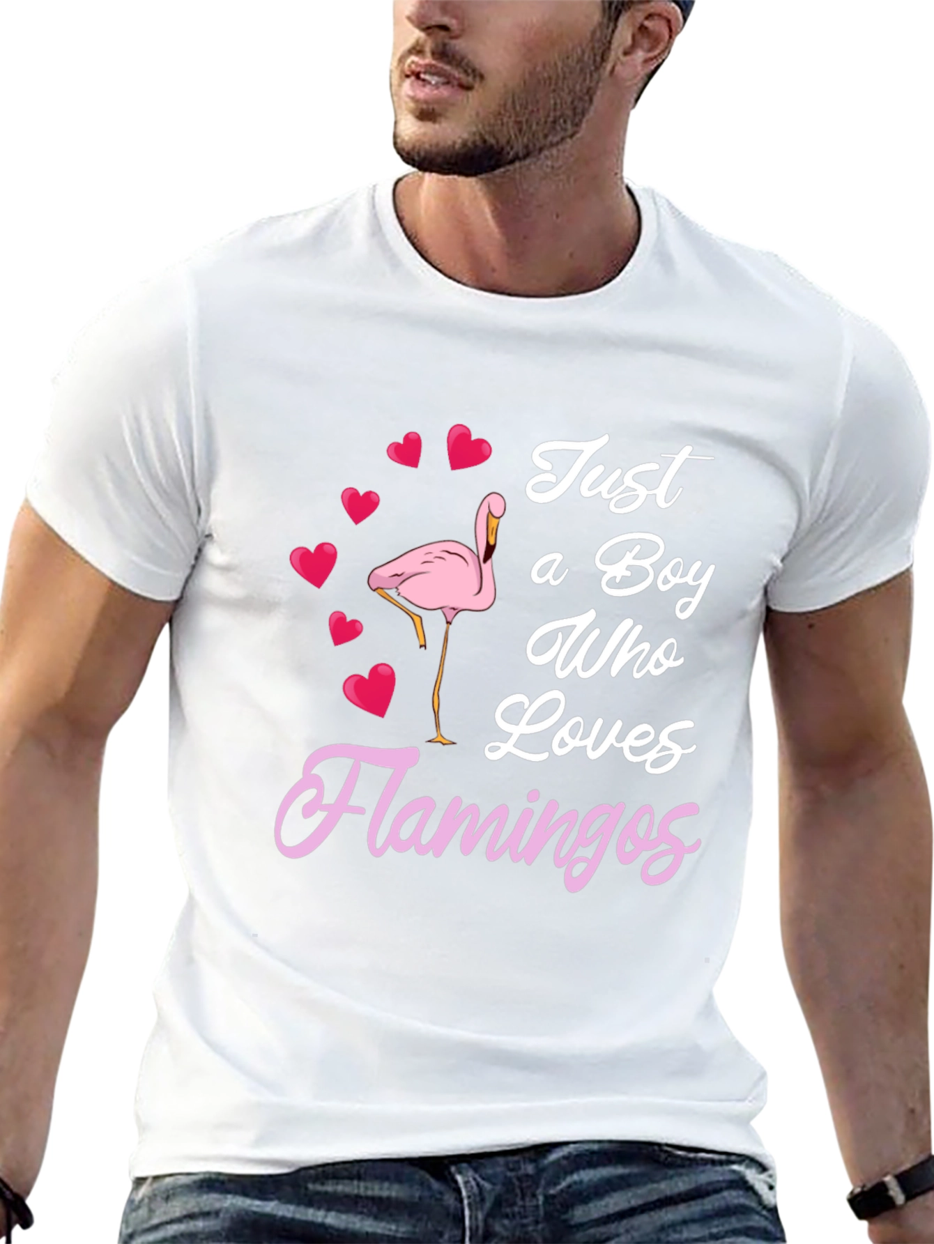 Boy Who Loves Flamingos T-Shirt