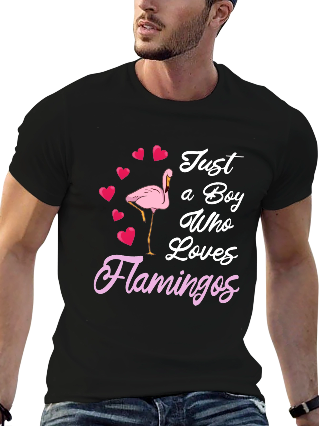 Boy Who Loves Flamingos T-Shirt