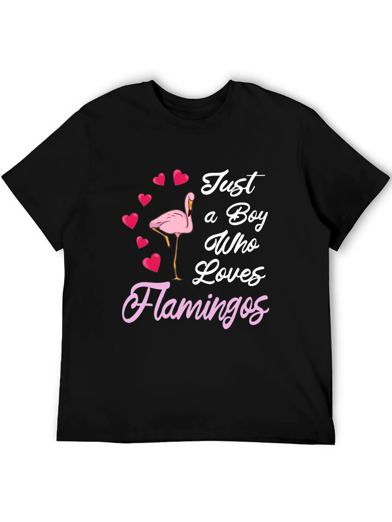 Boy Who Loves Flamingos T-Shirt