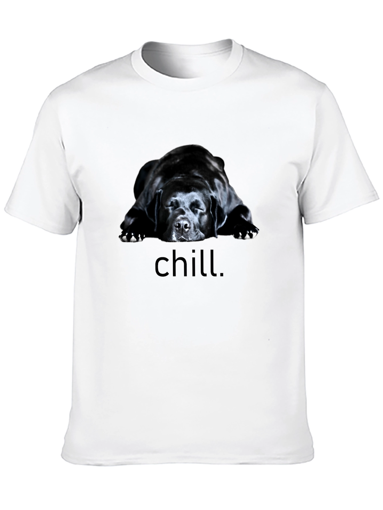 Chill Dog Graphic Tee - Black Relaxed Fit T-Shirt