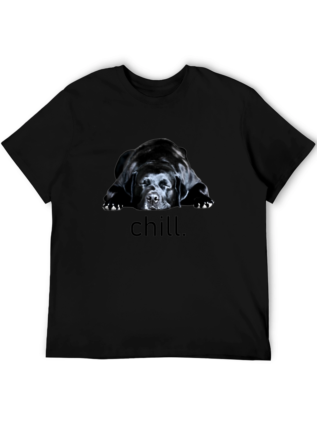 Chill Dog Graphic Tee - Black Relaxed Fit T-Shirt