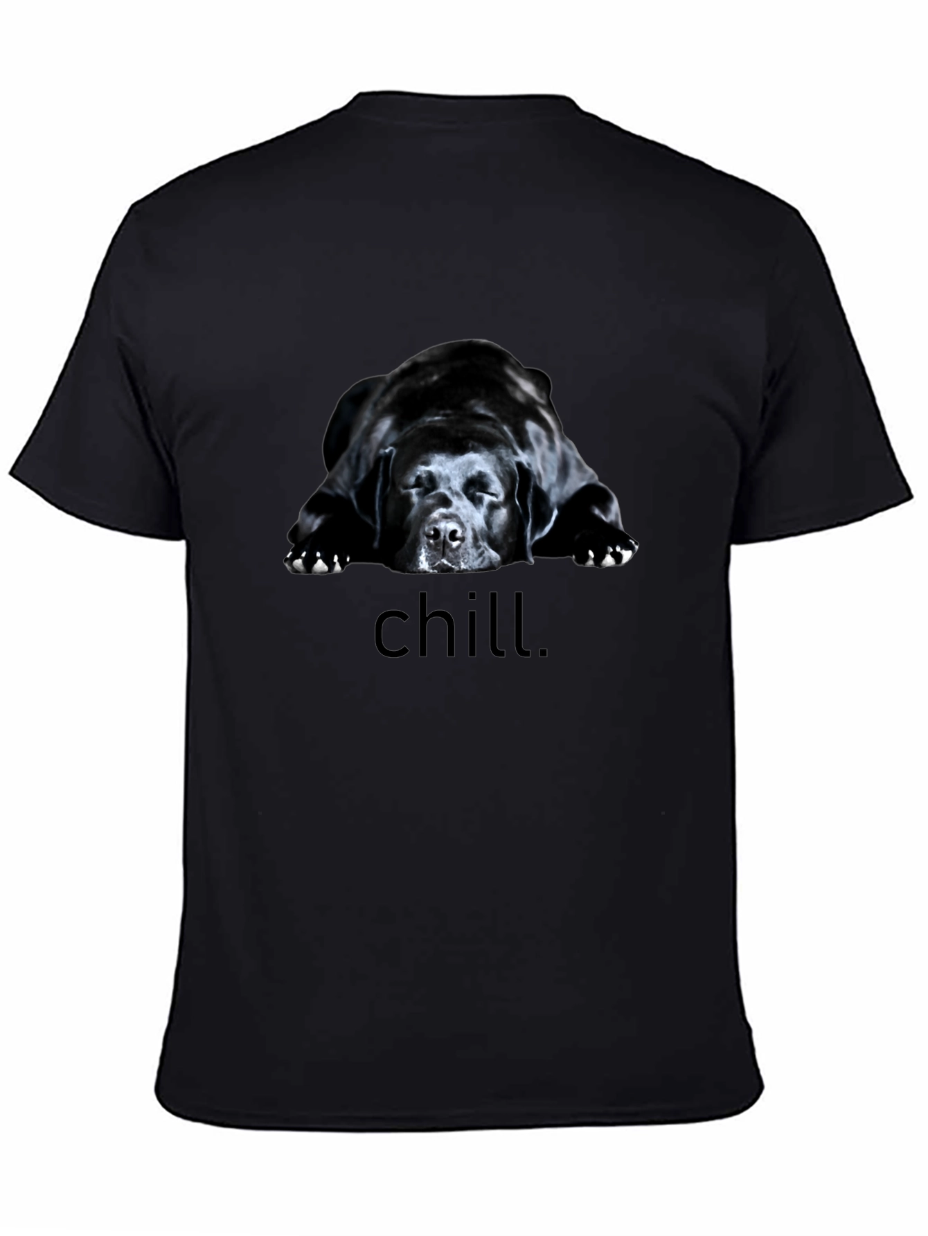 Chill Dog Graphic Tee - Black Relaxed Fit T-Shirt