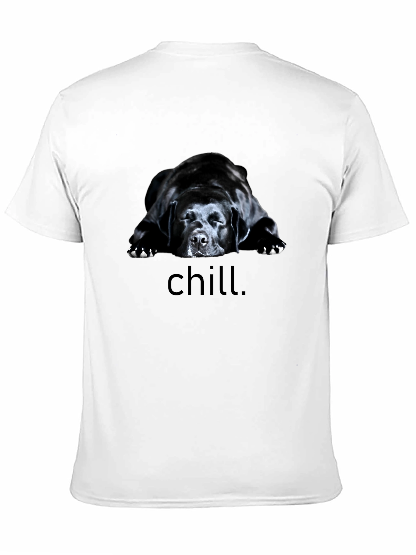 Chill Dog Graphic Tee - Black Relaxed Fit T-Shirt