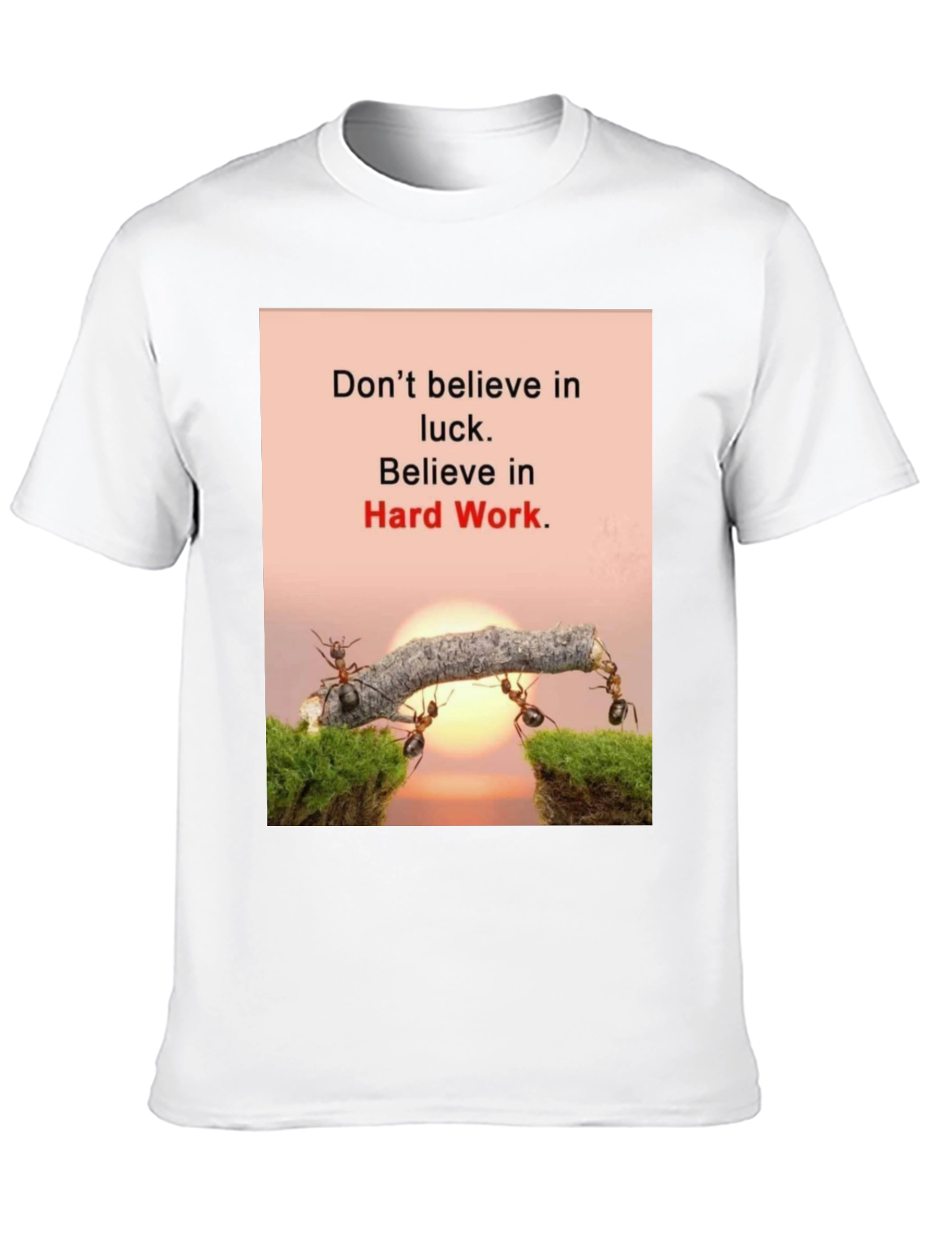 Motivational T-Shirt: Believe in Hard Work