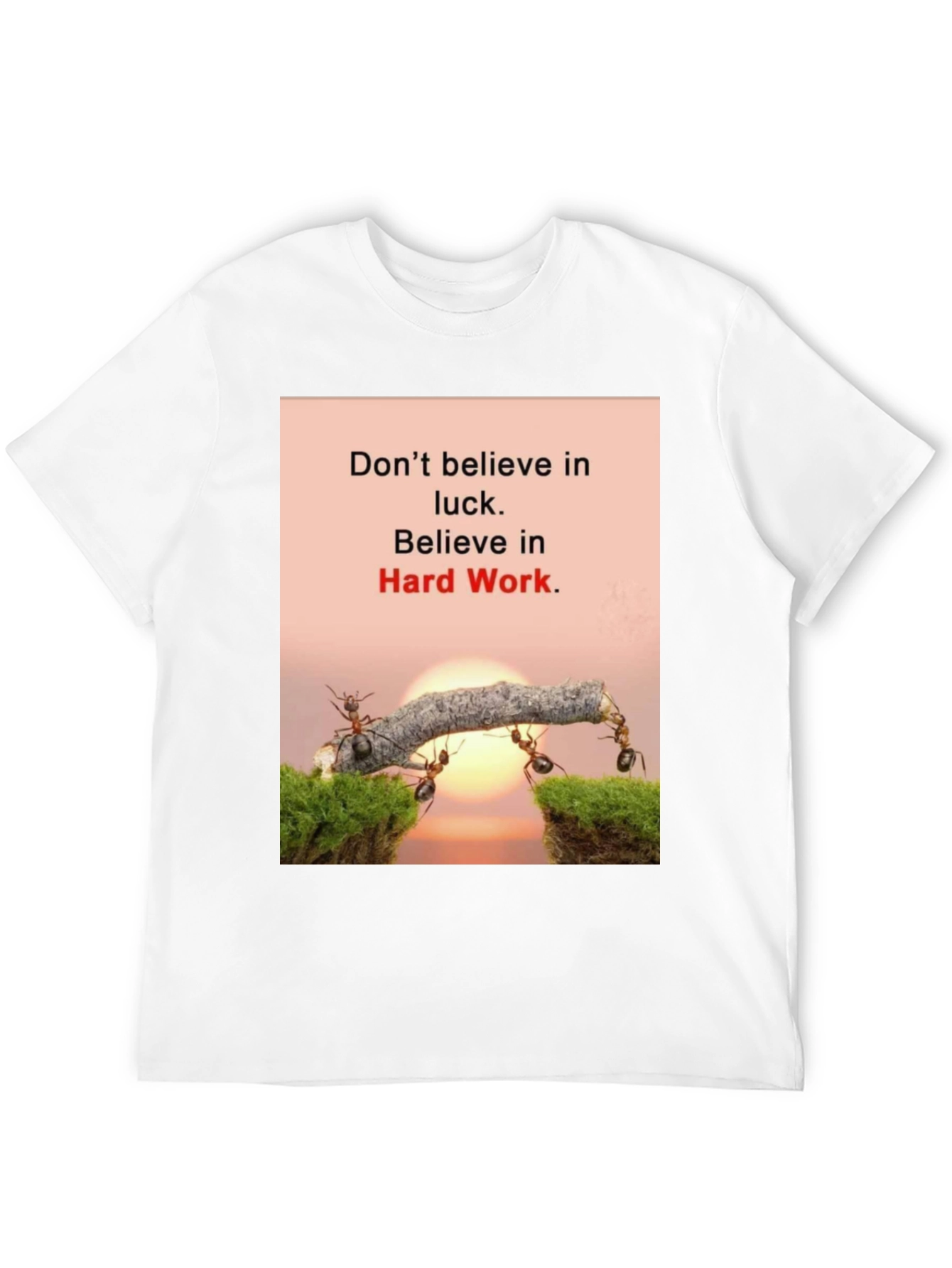 Motivational T-Shirt: Believe in Hard Work