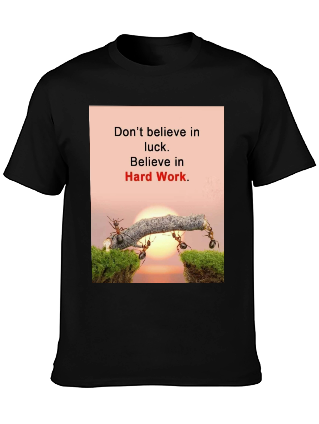 Motivational T-Shirt: Believe in Hard Work