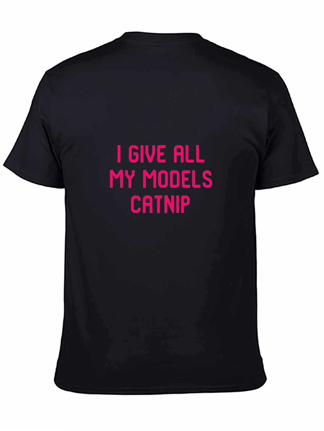 I Give All My Models Catnip Graphic Tee
