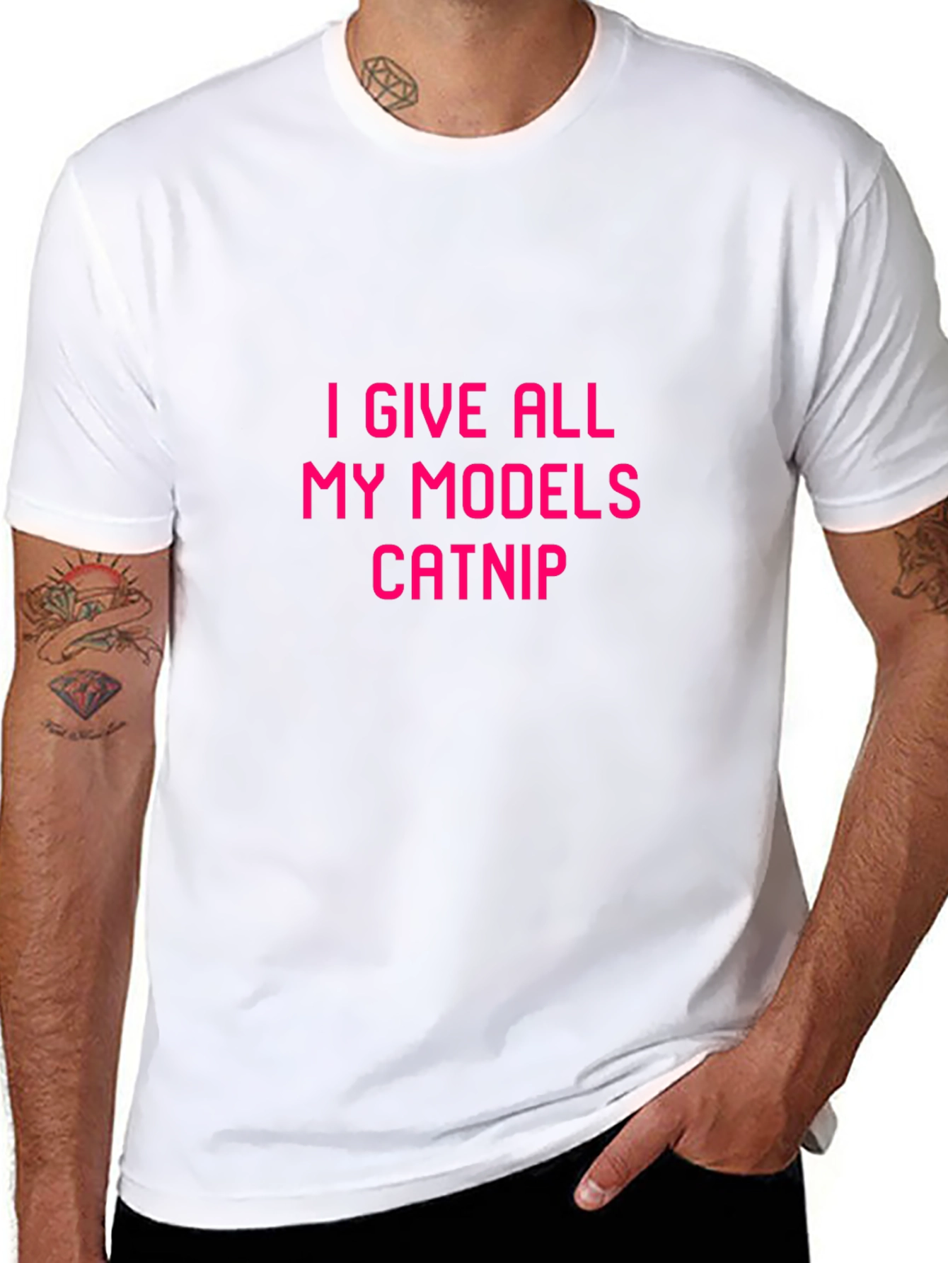 I Give All My Models Catnip Graphic Tee
