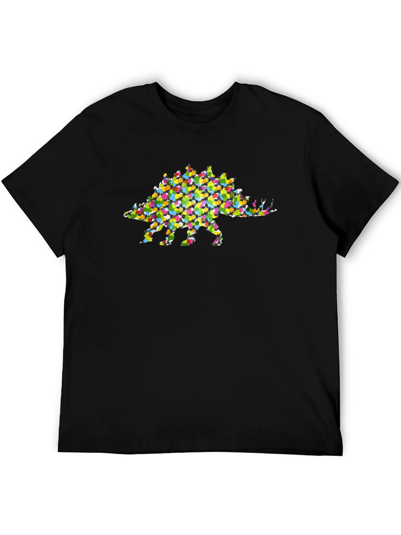 Colorful Stegosaurus Graphic T-Shirt